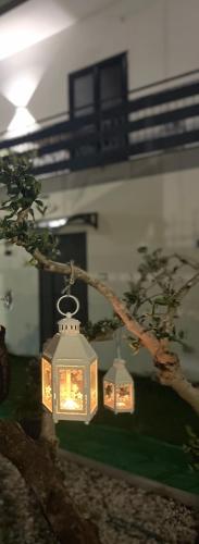 two lanterns hanging from a tree in a room at Bellevue Herculaneum B&B in Ercolano