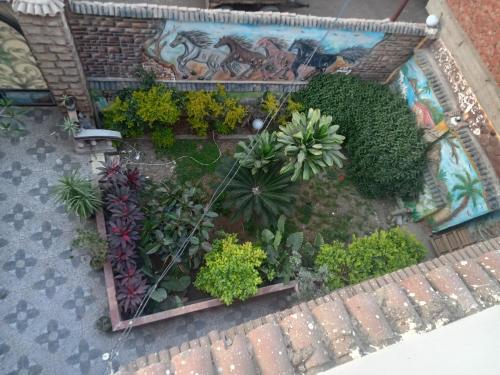 una vista aérea de un jardín con plantas y flores en ڤيلا فاخره في مدينة طنطا, en Tanta