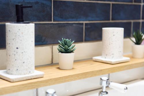 a bathroom counter with three paper towels and a plant at Chimney Cottage in Holmfirth
