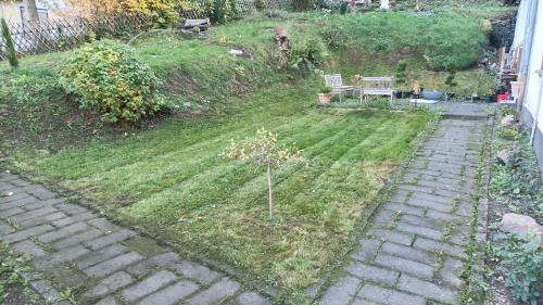 a garden with a small tree in the grass at Eifelerlebnis in Jünkerath