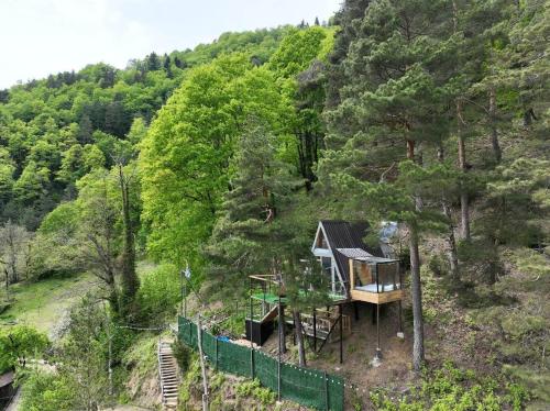 a tree house in the middle of a forest at Bazaletis Akvani 