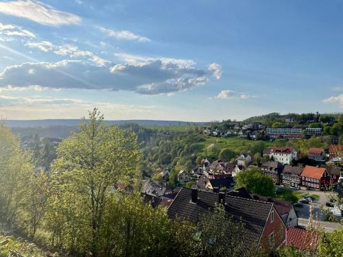 una piccola cittadina con case e alberi su una collina di Ferienwohnung Donald a Sankt Andreasberg