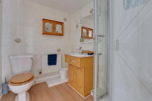 a bathroom with a toilet and a sink and a shower at The Red House Maldon in Maldon