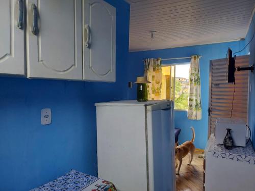 a blue kitchen with a refrigerator and a dog in it at Casa inteira com AR 2/4 in Salvador