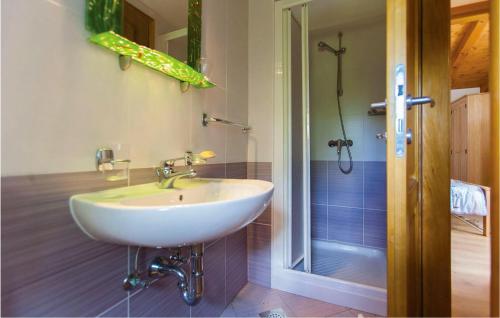 La salle de bains est pourvue d'un lavabo et d'une douche. dans l'établissement Pet Friendly Home In Valbandon With Kitchen, à Fondole