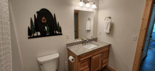 a bathroom with a toilet and a sink and a mirror at Beargrass Lodging & RV Resort in Hungry Horse