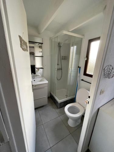 uma casa de banho com um WC, um chuveiro e um lavatório. em Appartement bord de mer em Sainte-Marie-la-Mer