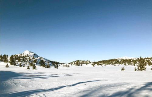 a snow covered slope with trees and a mountain at 3 Bedroom Stunning Home In Aurdal in Aurdal