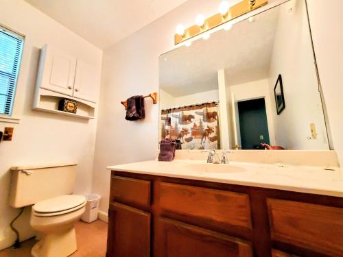 uma casa de banho com um lavatório, um WC e um espelho. em Hillbilly Hilton em Pigeon Forge