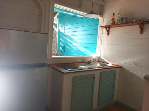 布雍特的住宿－L'ESCALE TROPICALE，厨房设有水槽和窗户。