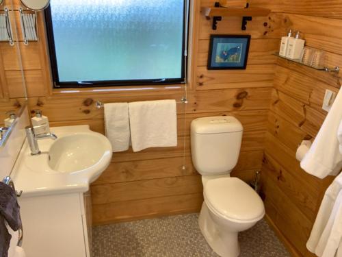 Birds Ferry Lodge tesisinde bir banyo