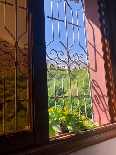 a window with a flower pot on a window sill at Dar Amadine in Imlil