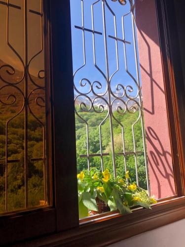 une fenêtre avec un pot de fleurs sur un rebord de fenêtre dans l'établissement Dar Amadine, à Imlil