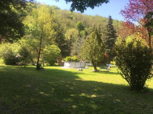 a park with two dogs in the grass at Welcome in Toscana in Polcanto