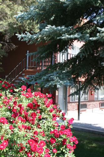 Сад в Lake View Lodge