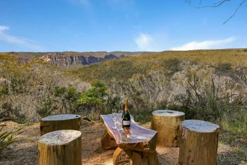 a bottle of wine sitting on top of tree stumps at Canyon Cottage Majestic view in Blackheath