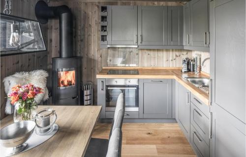 Η κουζίνα ή μικρή κουζίνα στο Beautiful Apartment In Trysil With Wifi