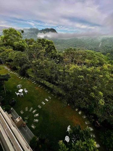 an aerial view of a garden with trees at 林莊園包棟別墅Skydoorzi Villa in Guoxing