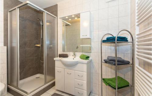 a bathroom with a shower and a sink and a mirror at Cozy Apartment In Viehhofen With Ethernet Internet in Viehhofen