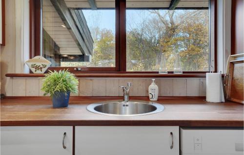 um balcão de cozinha com um lavatório e uma janela em 3 Bedroom Cozy Home In Vejby em Vejby