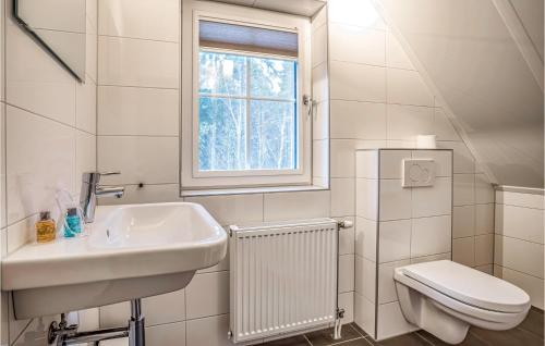 een badkamer met een wastafel, een toilet en een raam bij Gorgeous Home In Rijssen With Wifi in Rijssen