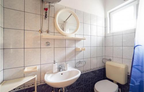 uma casa de banho com um lavatório, um espelho e um WC. em Gorgeous Home In Rukavac With Wifi em Rukavac