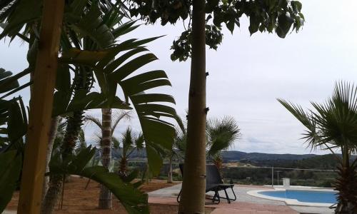 a view of a pool from between two palm trees at Casa Gabriel in Picassent