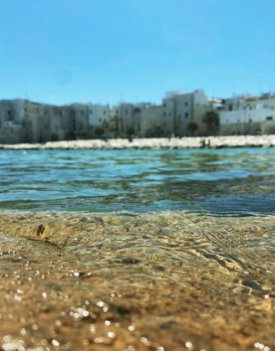 a body of water with buildings in the background at 1820 Marè in Molfetta