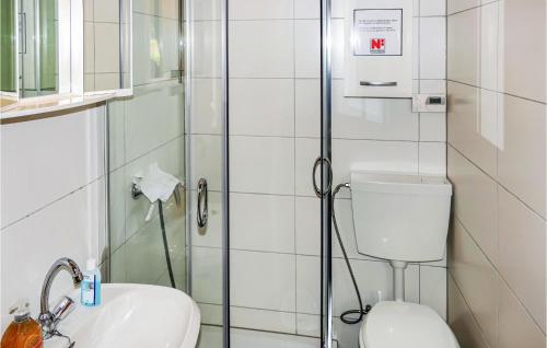 ein Bad mit einer Dusche, einem WC und einem Waschbecken in der Unterkunft Ferienhaus Am Breitenberg N in Winterstein