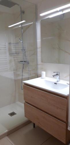 une salle de bain avec un lavabo et une douche dans l'établissement T2 Terrasse, Bormes Les Mimosas La Faviere, 5 Pers, 5 mn à pieds des plages et commerces, à Bormes-les-Mimosas