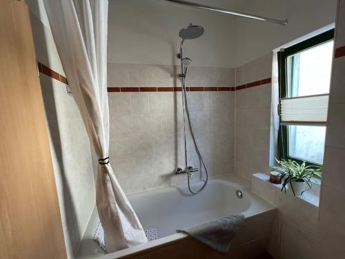 a bathroom with a bath tub with a shower at Traumwohnung am Altstadt Hafen Stralsund in Stralsund