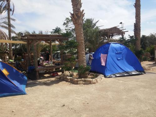 Foto sihtkohas Arad asuva majutusasutuse Kfar Hanokdim - Glamping & Camping galeriist