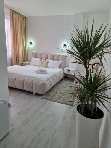 a living room with a bed and a potted plant at Caprice Deluxe Accomodation in Drobeta-Turnu Severin