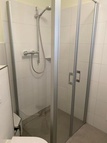 a shower with a glass door in a bathroom at Haus Gamrigblick in Waltersdorf