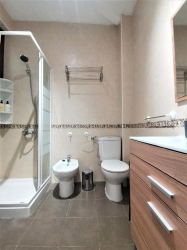 a bathroom with a toilet and a shower and a sink at Casa Cervantes Toledo in Toledo