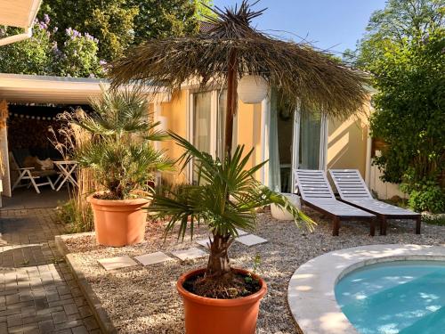 une maison avec deux plantes en pot et une piscine dans l'établissement Apartment TinyHouse mit Pool, Outdoor Whirlpool und Garten, à Petershagen