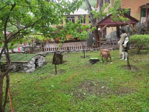 Gallery image of ECOHOTEL ''QIZIL Dere'' in Qaraqaya