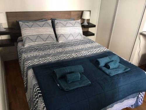 un lit avec deux serviettes dessus dans l'établissement ANNECY BREAK, à Annecy