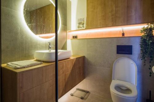 維爾紐斯的住宿－Bright and stylish city centre 1 bedroom loft，一间带卫生间、水槽和镜子的浴室