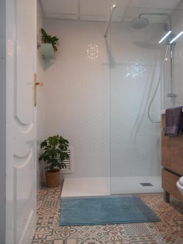 a bathroom with a glass shower with a potted plant at 2 bedroom, Sea Front Complex w Pool and private garden in Jávea