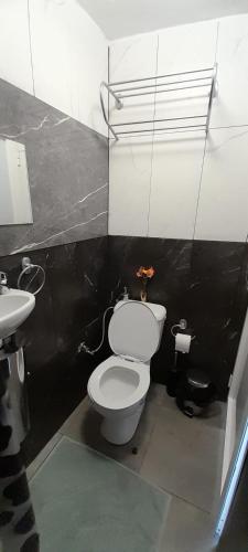 a bathroom with a white toilet and a sink at Los Amantes de la naturaleza. in Salão