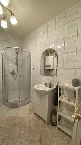 奧斯特魯夫的住宿－Apartament NOWY，带淋浴和盥洗盆的浴室