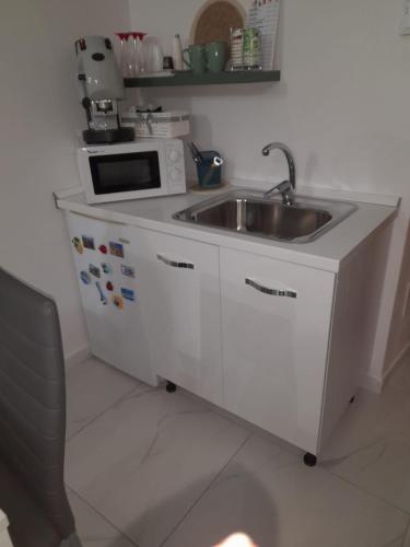kuchnia ze zlewem i mikrofalówką w obiekcie Casa TeKa w mieście Torre Annunziata