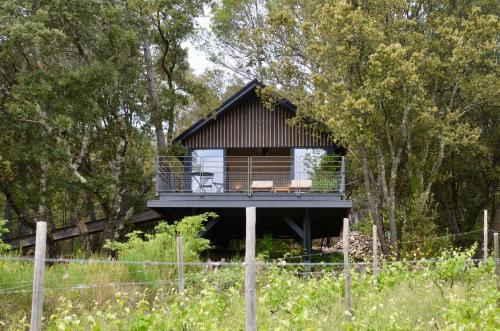 a tree house with a deck in the woods at Domaine Monte Verdi in Flayosc