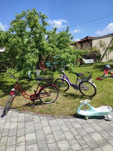 Ποδηλασία στο Apartament nad Nidą ή στη γύρω περιοχή