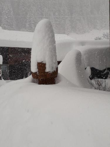 a fire hydrant covered in snow at Landhaus Angelika in Gaschurn