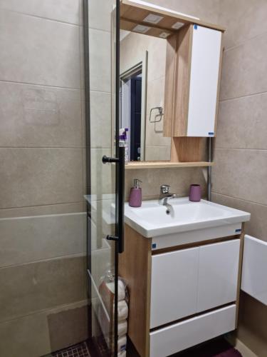 a bathroom with a sink and a shower at Apartman "PUZZLE" Bela Reka, Brzeće in Brzeće
