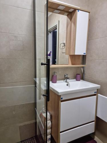 Koupelna v ubytování Apartman "PUZZLE" Bela Reka, Brzeće