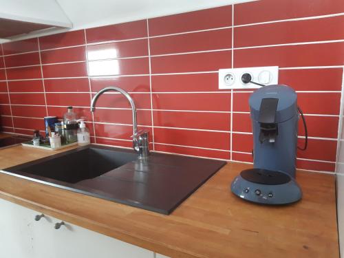 un comptoir de cuisine avec un évier et un mitigeur dans l'établissement Le val joyeux, à Royan