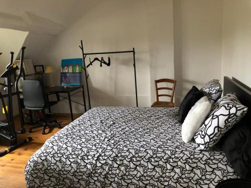 1 dormitorio con cama blanca y negra con almohadas en Grande chambre avec salle de bain et WC privés, en Pontgouin